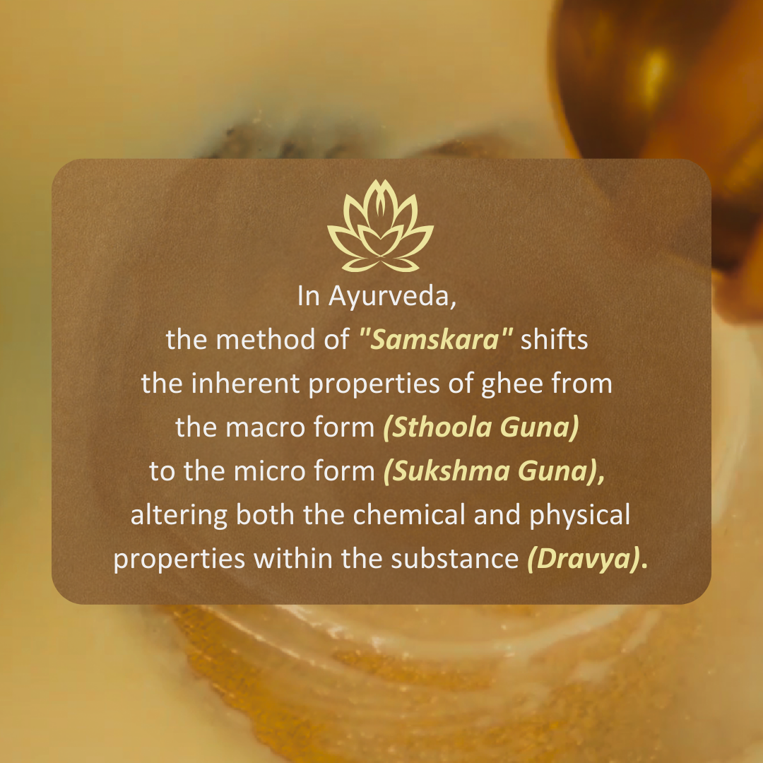Shata Dhauta Ghrita - 100 Times Washed Ghee (Ancient Skin Repair Night Cream)