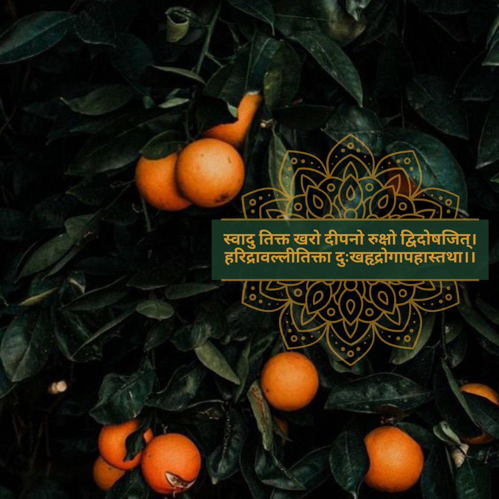 TEJASYA- THE COLLAGEN-BOOSTING 20% VITAMIN C + TURMERIC FACE SERUM FOR SKIN BRIGHTENING