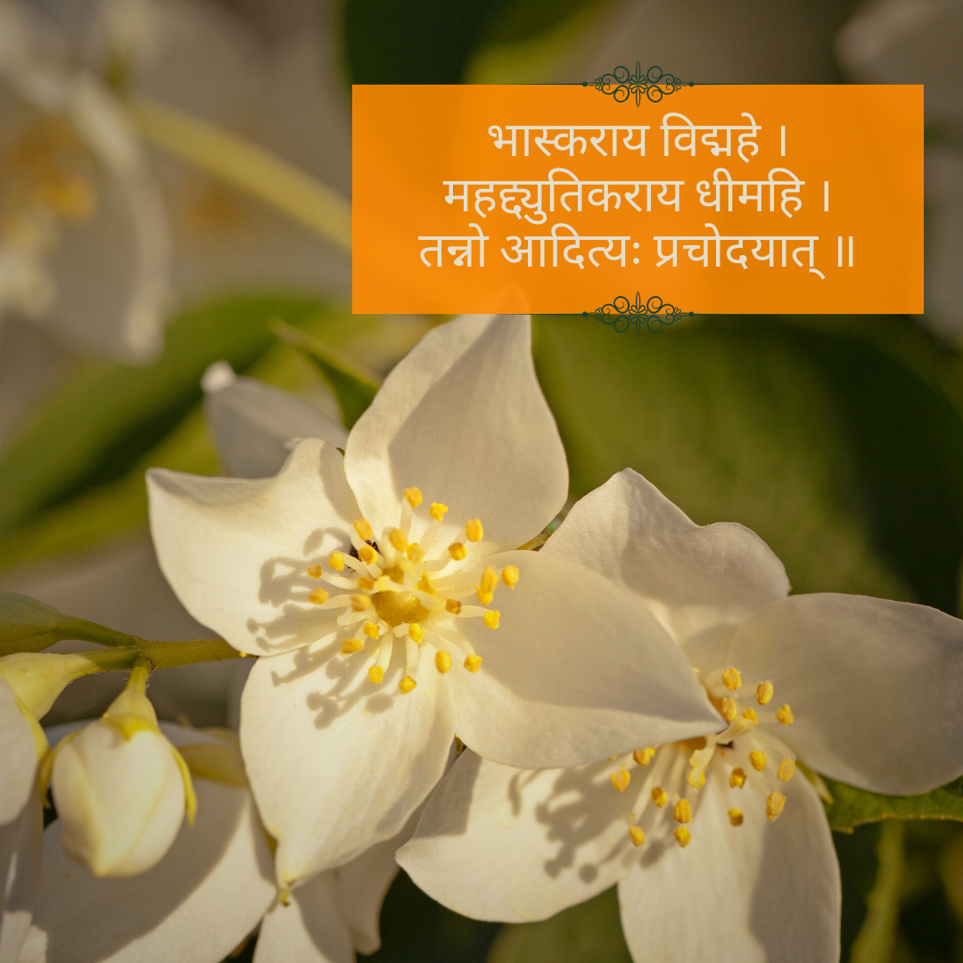 Kanti: The Hydrating Face Cleanser for Dry to Normal Skin