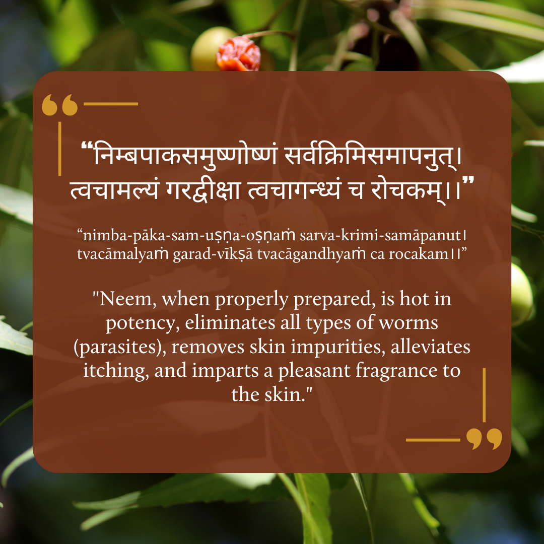 Kamya: The Salicylic Acid + Tea Tree Face Cleanser for Oily, Acne-prone Skin