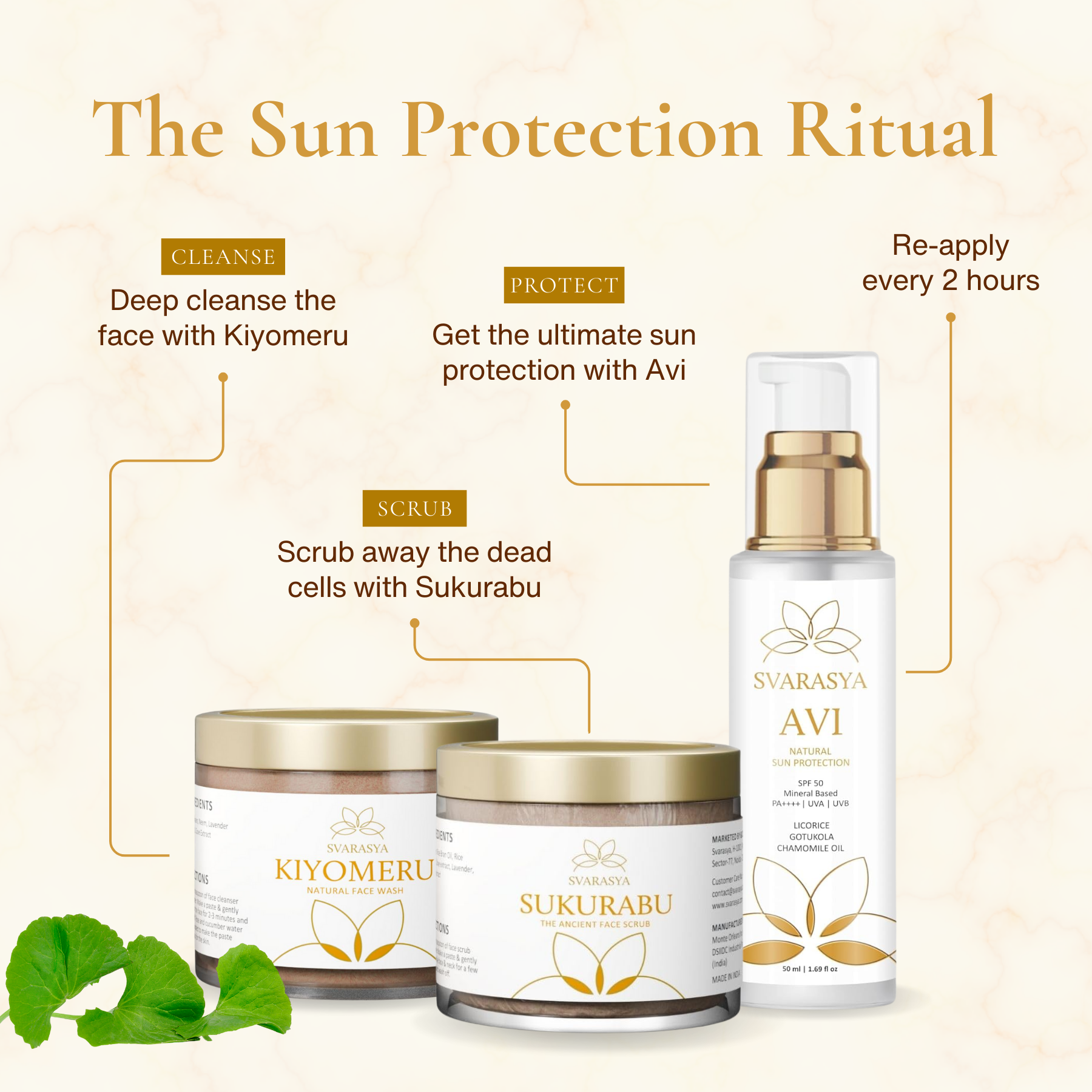 AVI - The Natural SPF 50 PA+++ Sunscreen for Ultimate Sun Protection